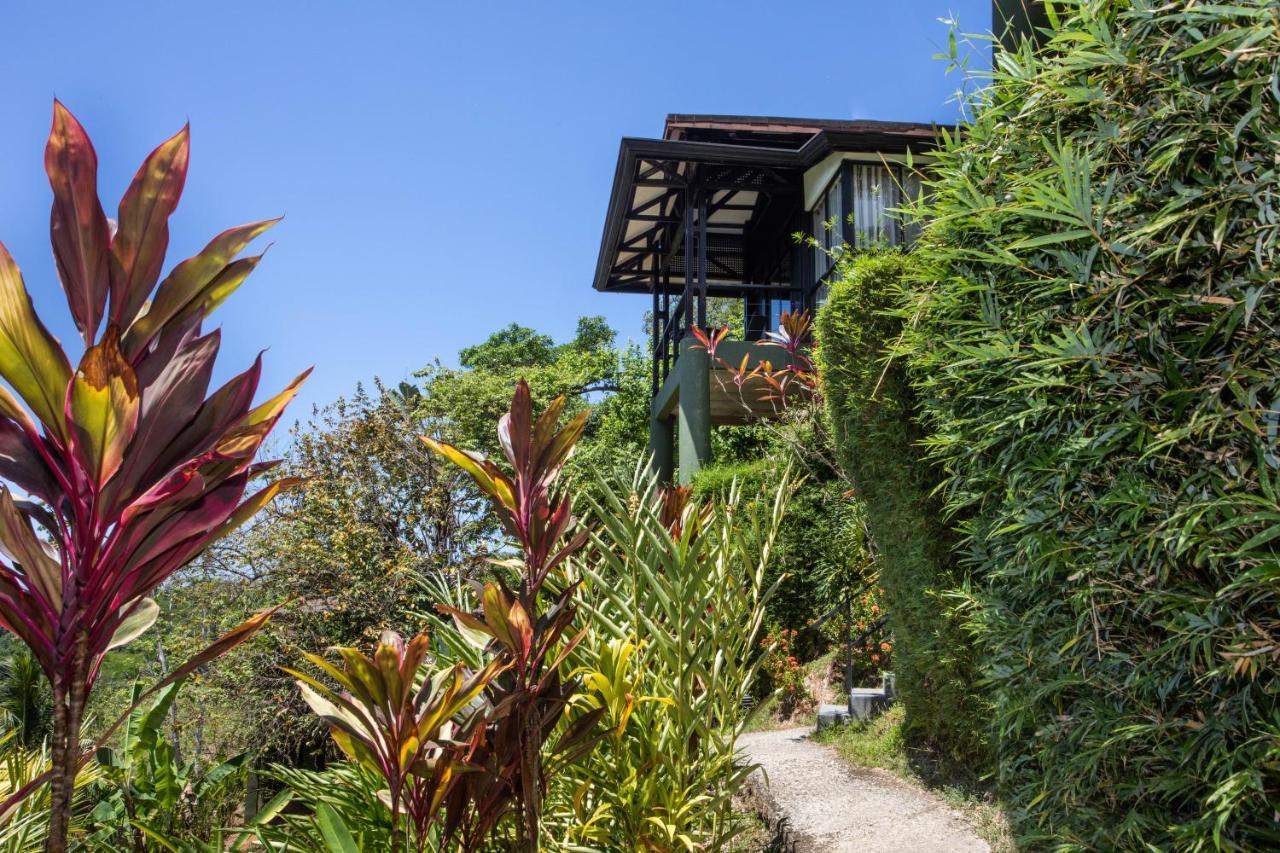 Tiki Villas Rainforest Lodge - Adults Only Uvita Exterior foto